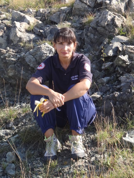 Croce Rossa Italiana - Comitato di Arenzano