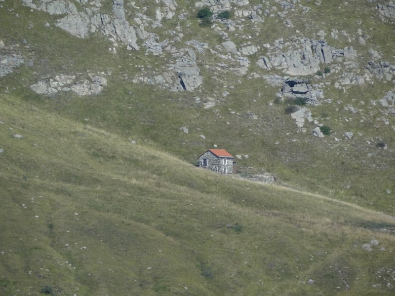 Croce Rossa Italiana - Comitato di Arenzano