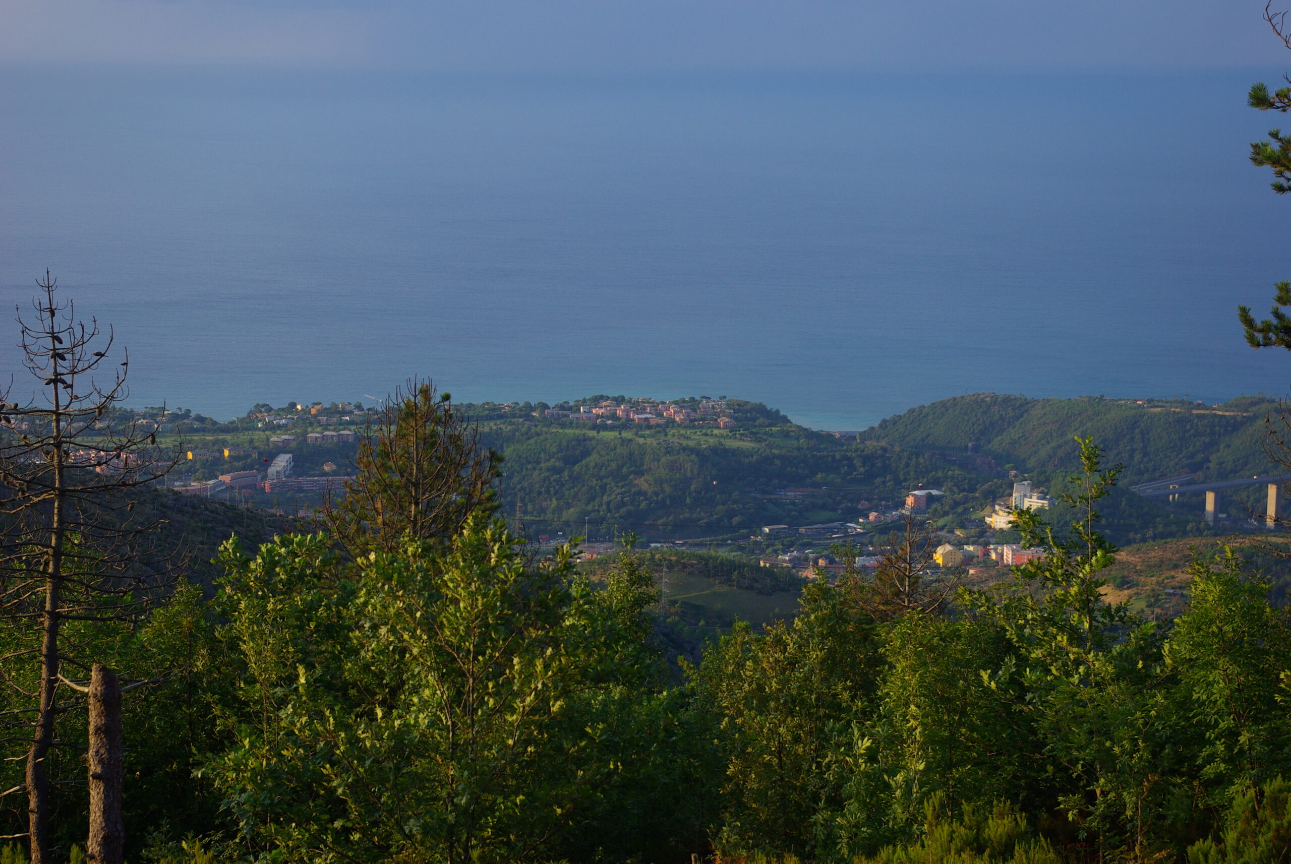Croce Rossa Italiana - Comitato di Arenzano