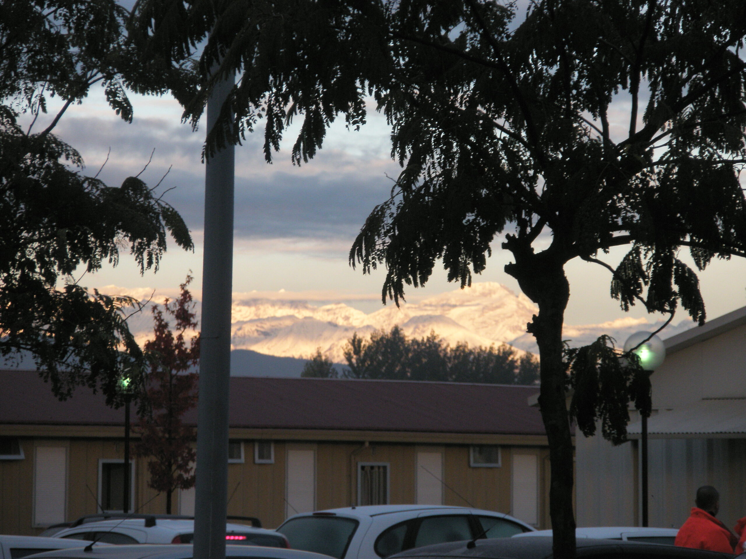 Croce Rossa Italiana - Comitato di Arenzano