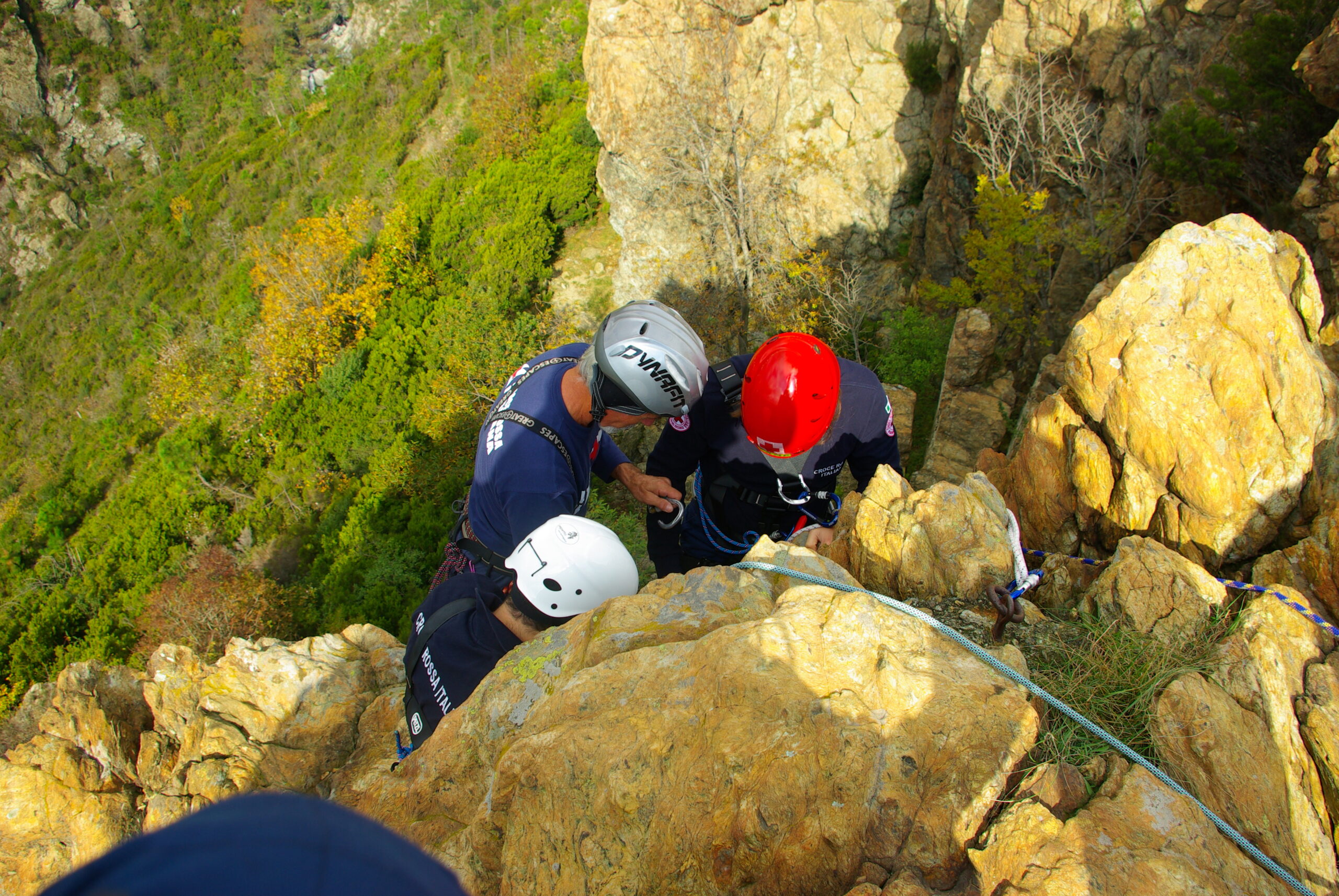Croce Rossa Italiana - Comitato di Arenzano
