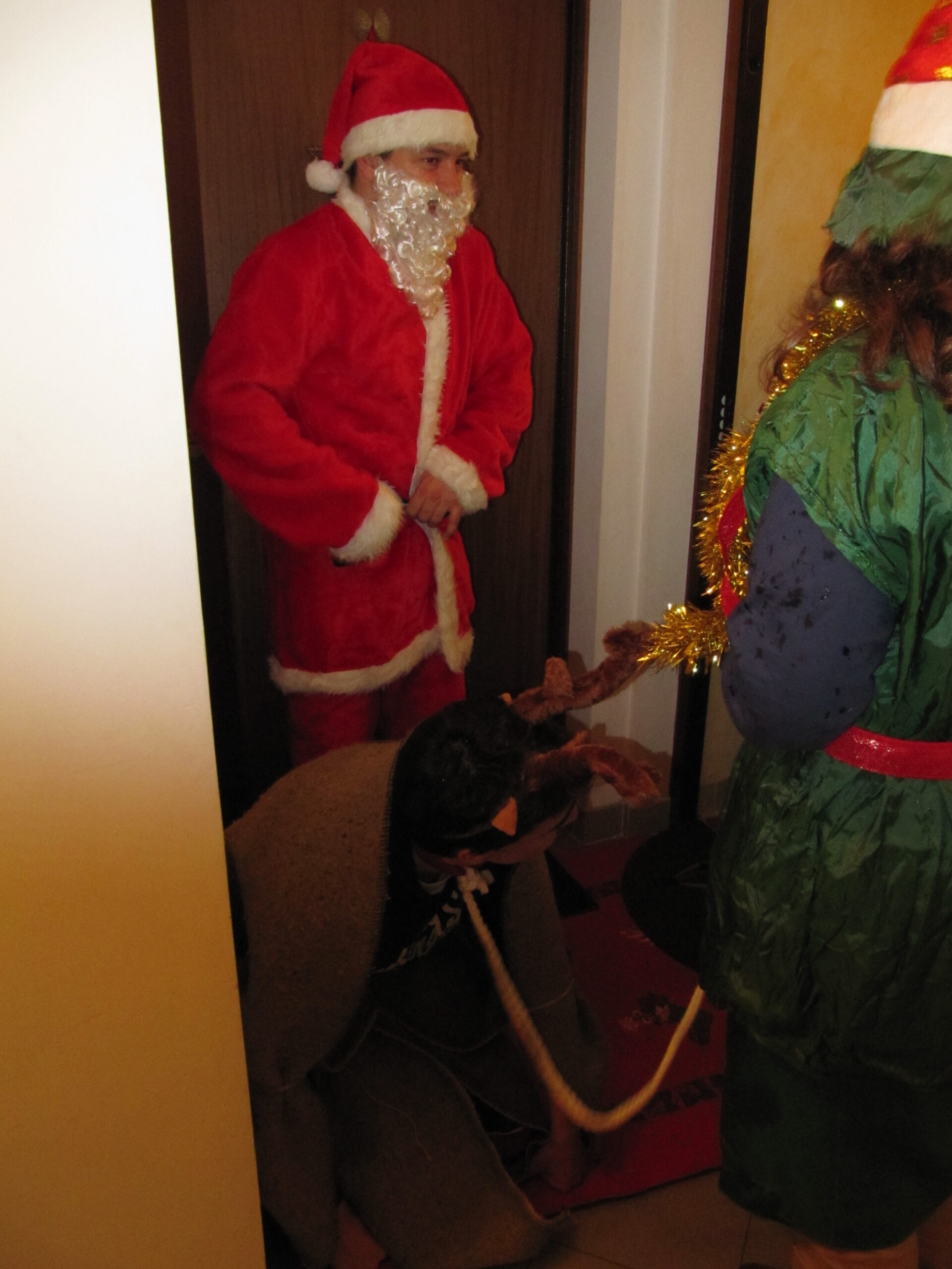 Croce Rossa Italiana - Comitato di Arenzano