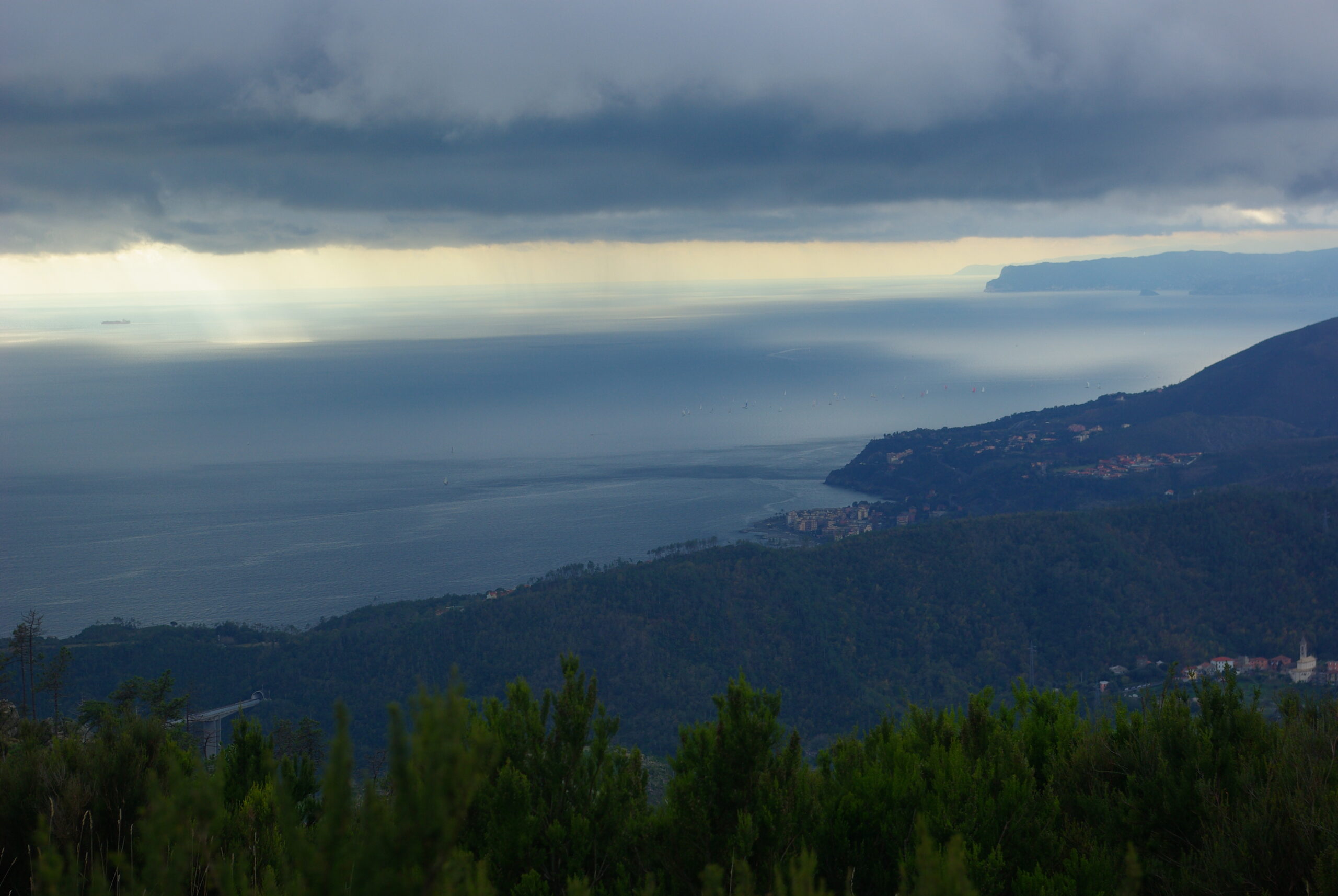 Croce Rossa Italiana - Comitato di Arenzano