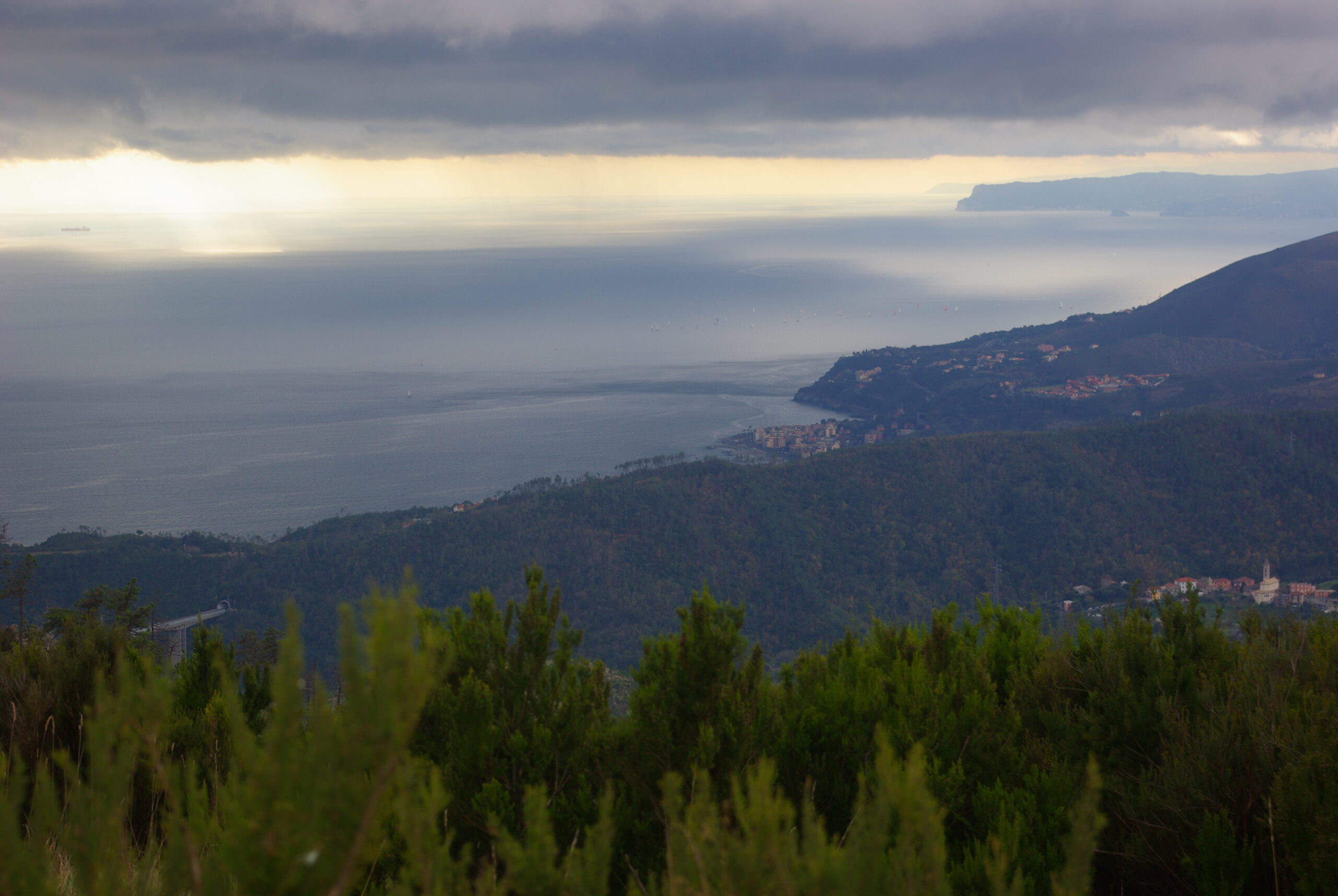 Croce Rossa Italiana - Comitato di Arenzano