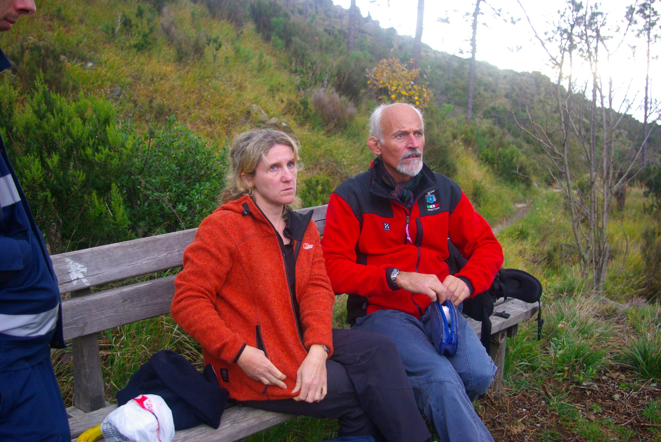 Croce Rossa Italiana - Comitato di Arenzano