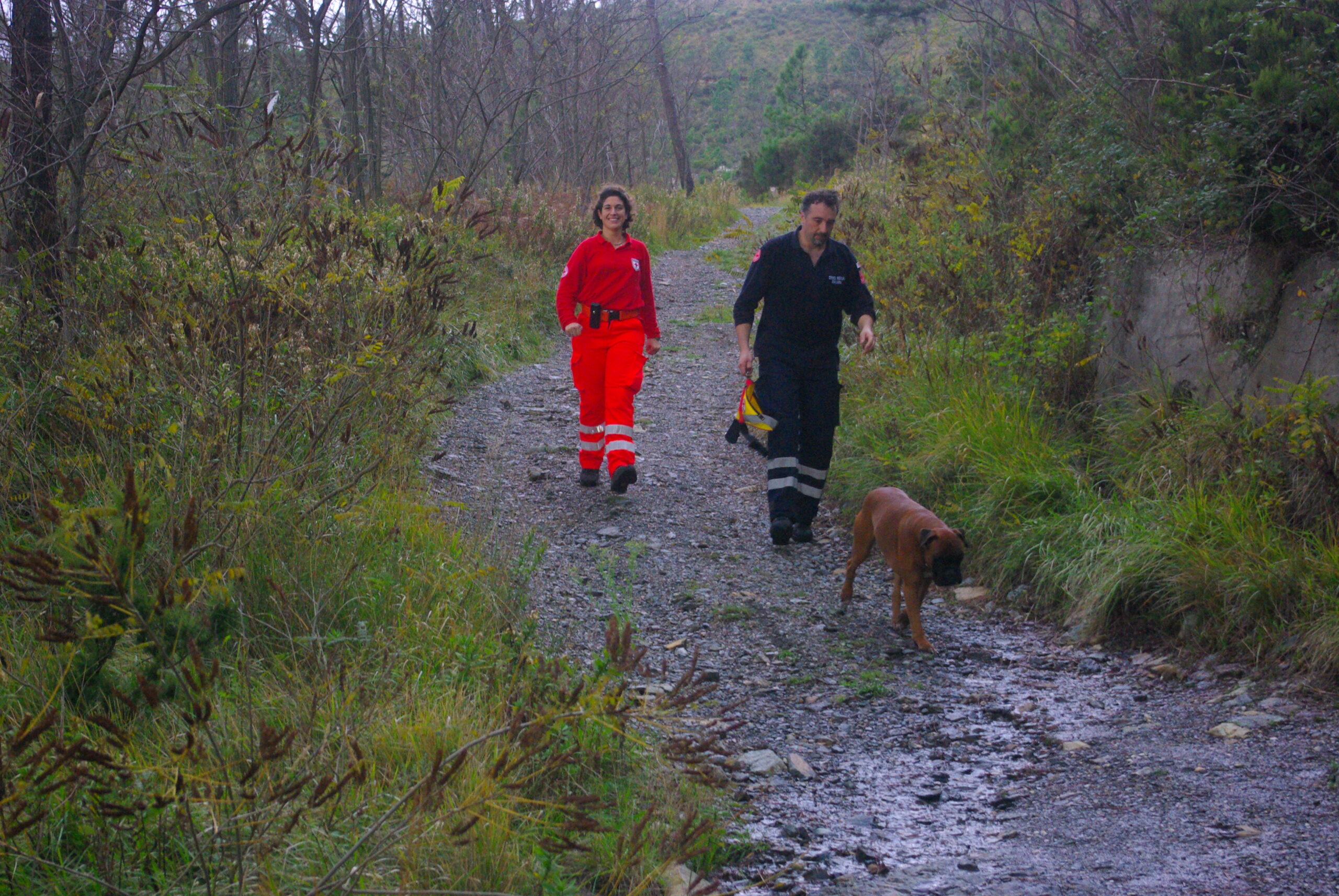 Croce Rossa Italiana - Comitato di Arenzano