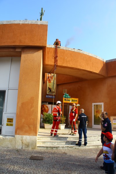Croce Rossa Italiana - Comitato di Arenzano