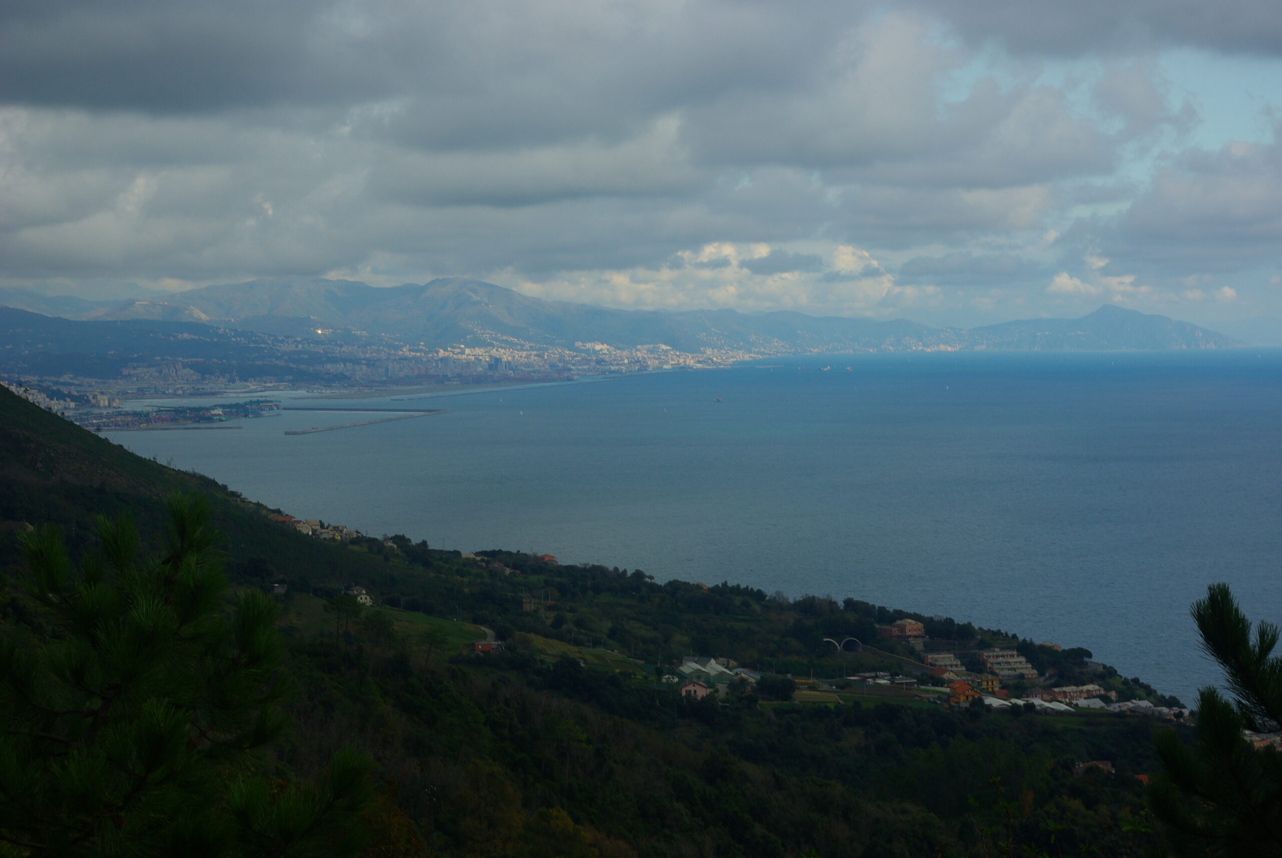 Croce Rossa Italiana - Comitato di Arenzano