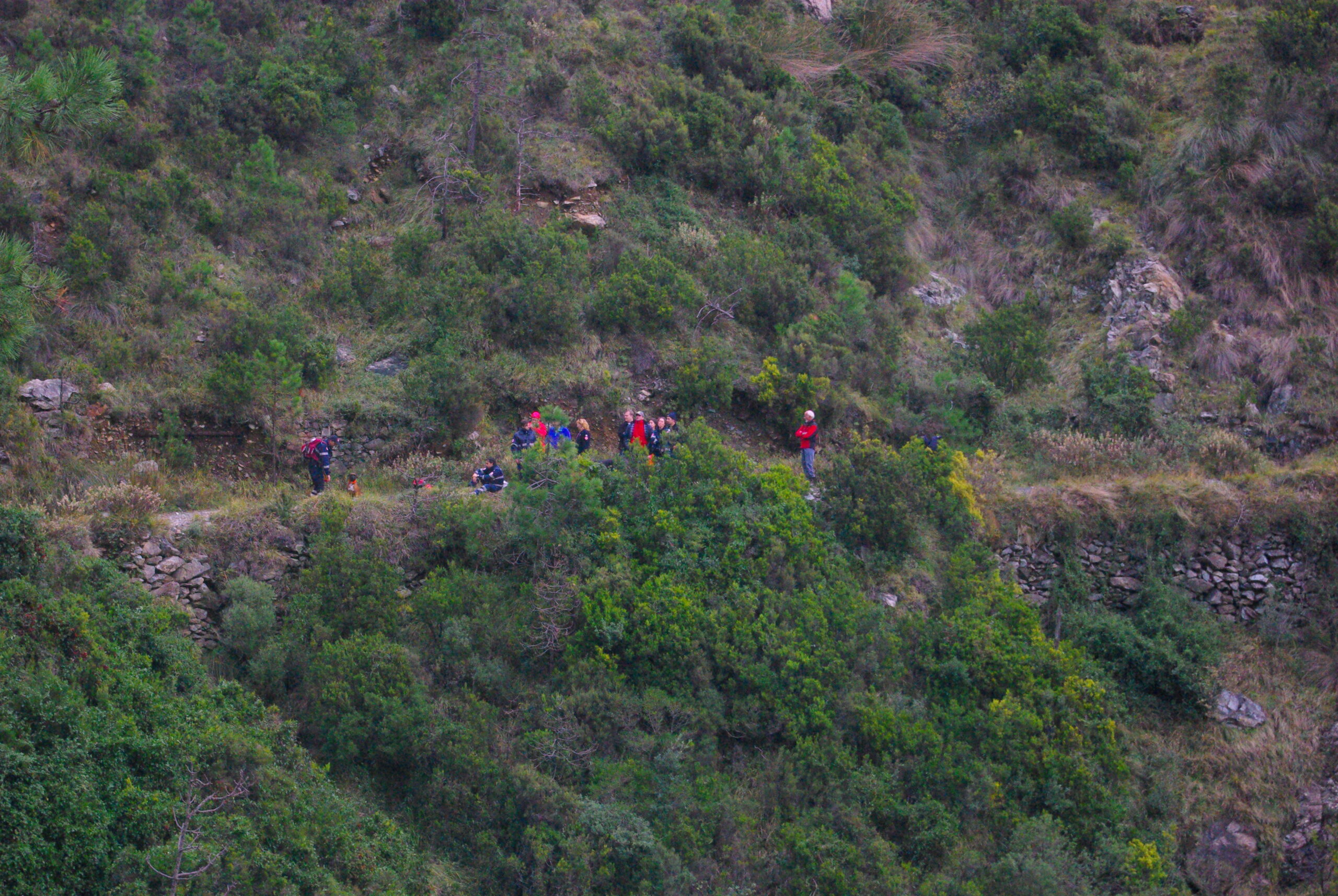 Croce Rossa Italiana - Comitato di Arenzano