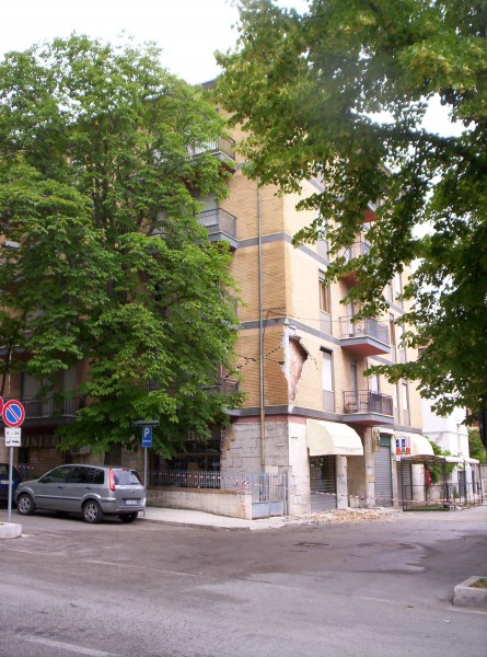 Croce Rossa Italiana - Comitato di Arenzano