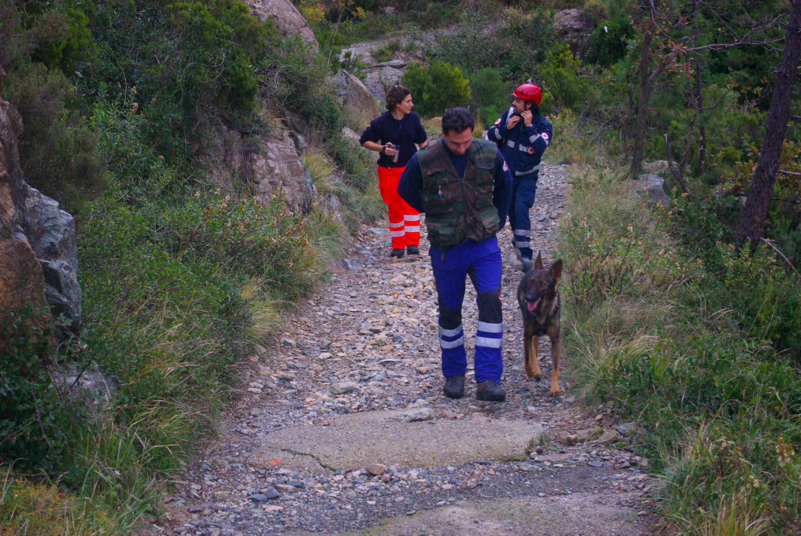 Croce Rossa Italiana - Comitato di Arenzano