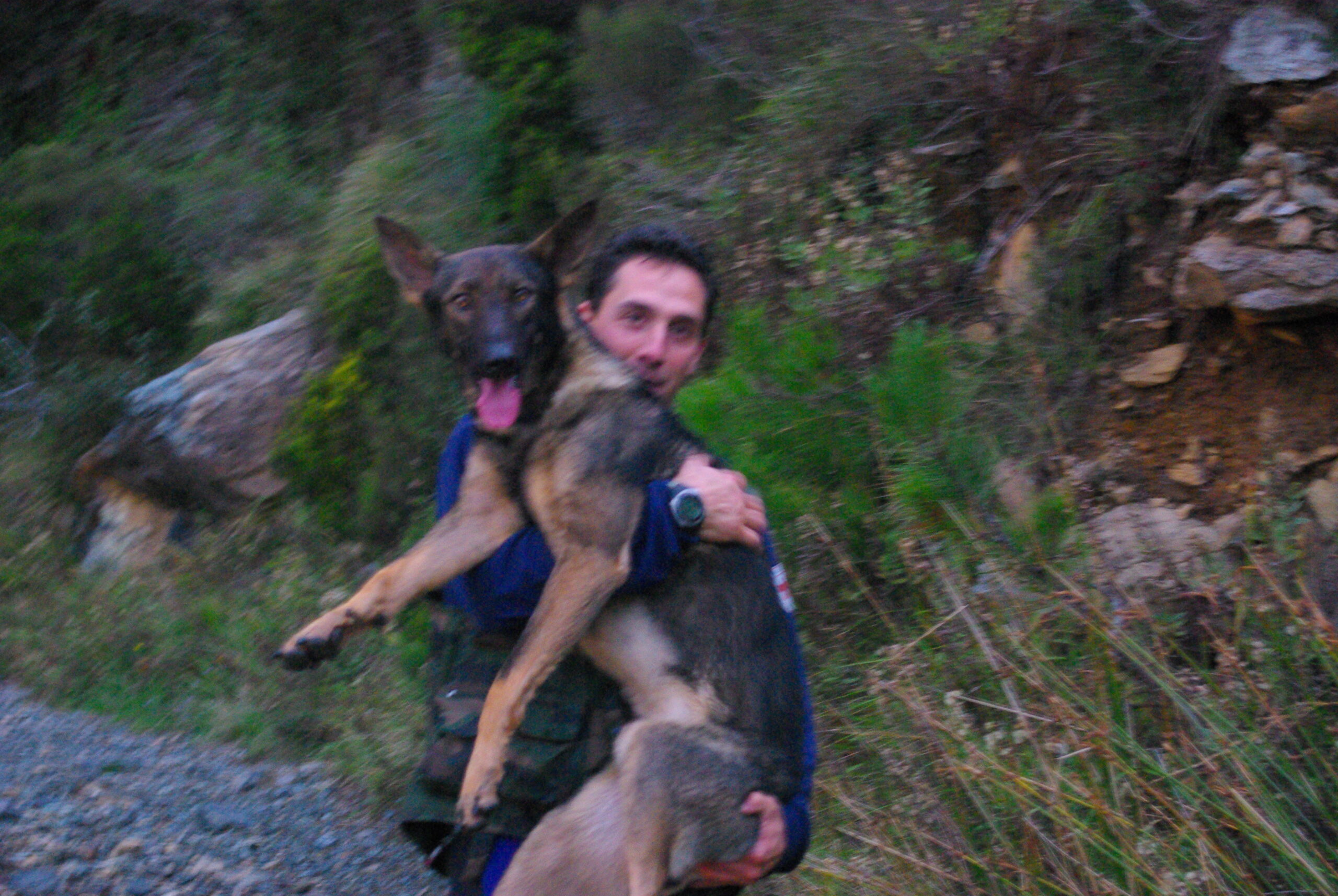 Croce Rossa Italiana - Comitato di Arenzano