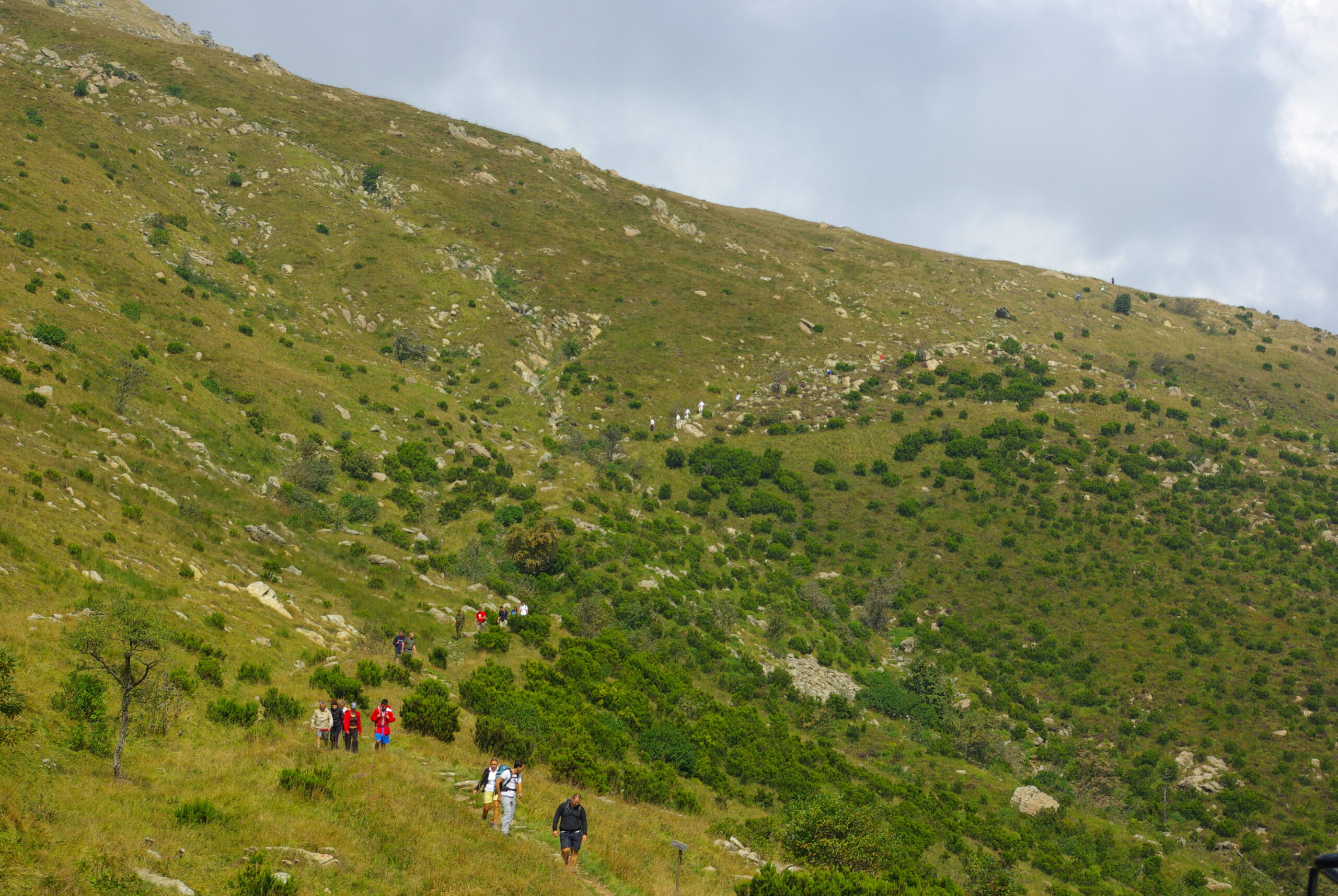 Croce Rossa Italiana - Comitato di Arenzano
