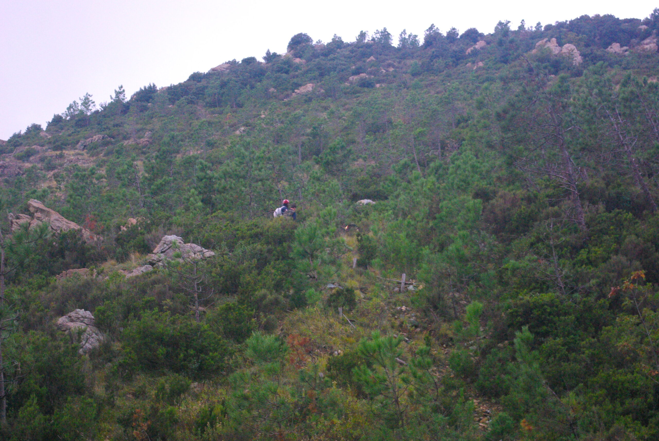 Croce Rossa Italiana - Comitato di Arenzano