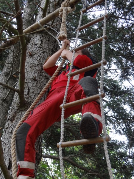 Croce Rossa Italiana - Comitato di Arenzano