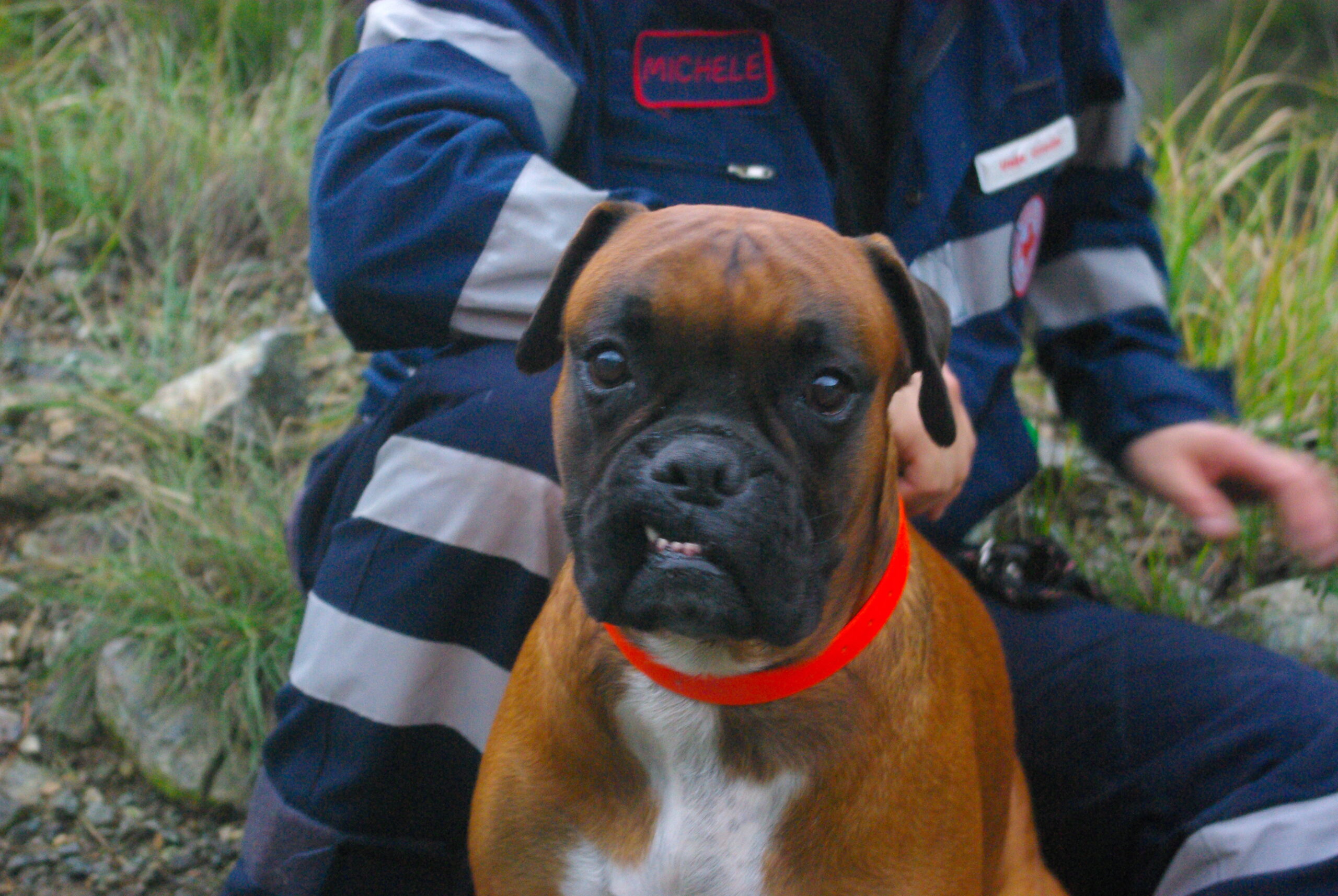 Croce Rossa Italiana - Comitato di Arenzano