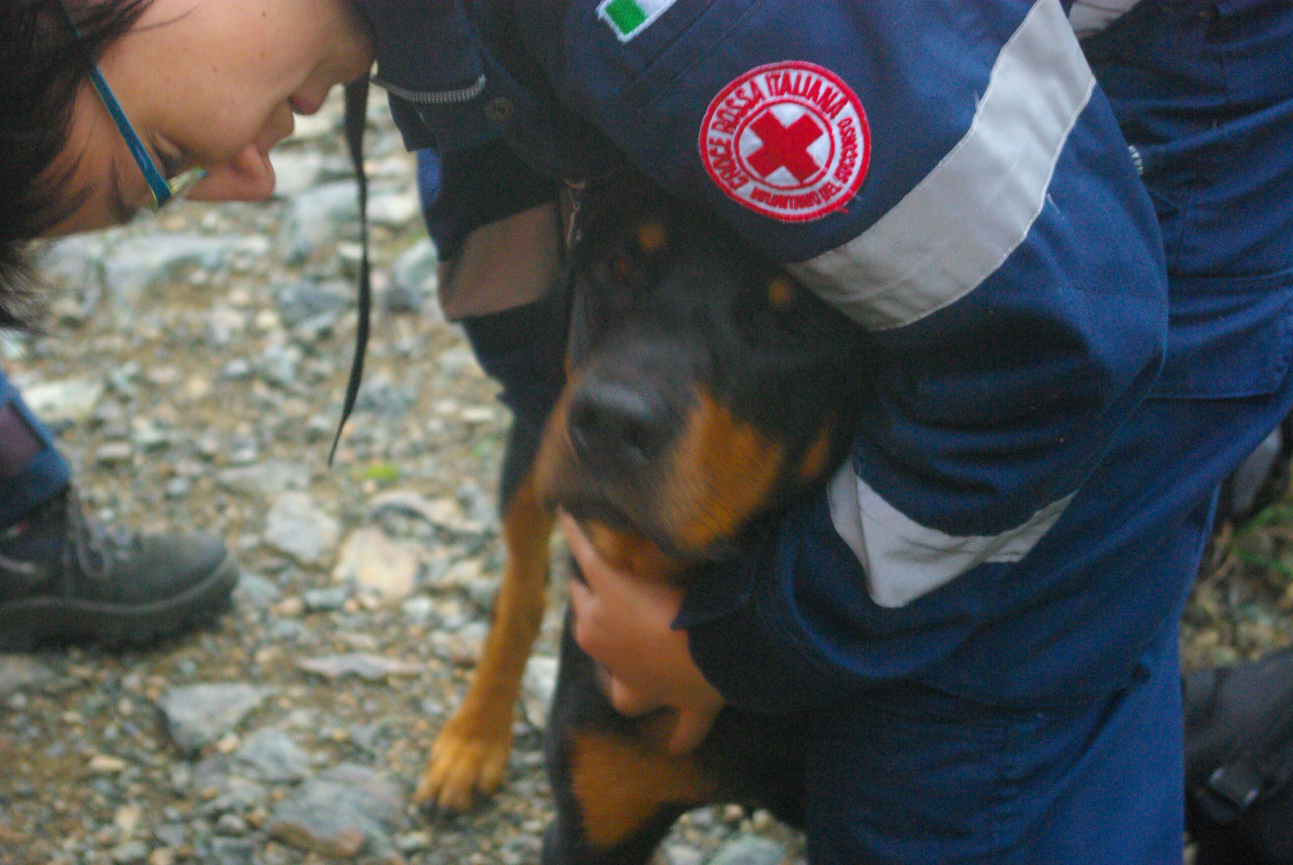 Croce Rossa Italiana - Comitato di Arenzano