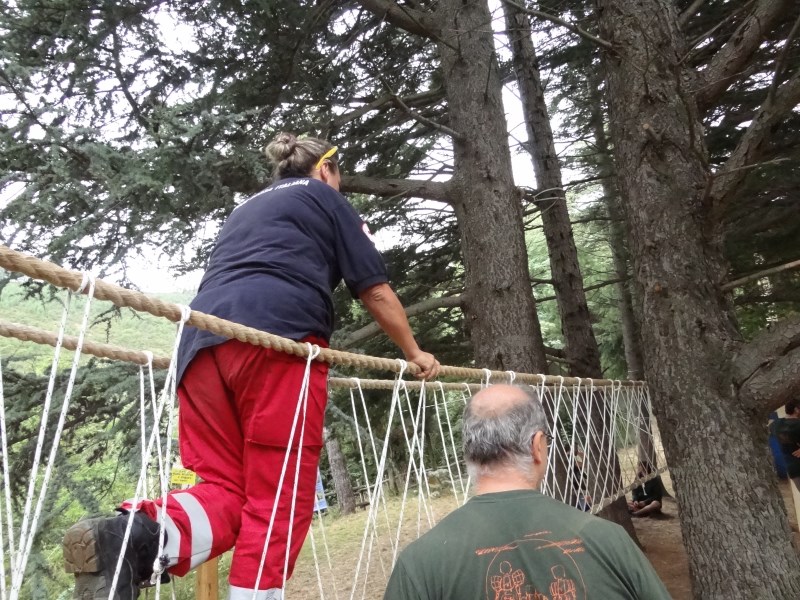 Croce Rossa Italiana - Comitato di Arenzano