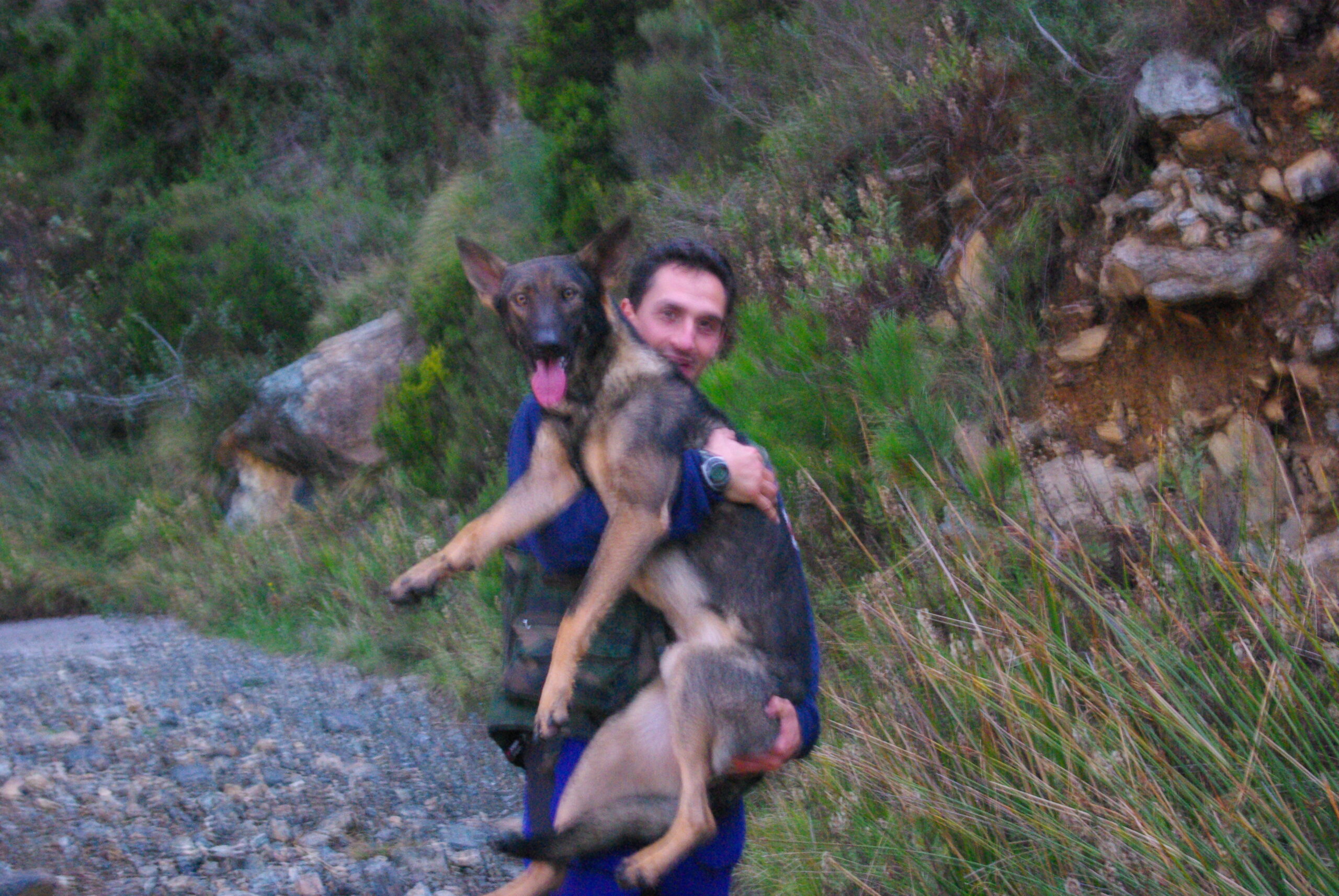 Croce Rossa Italiana - Comitato di Arenzano