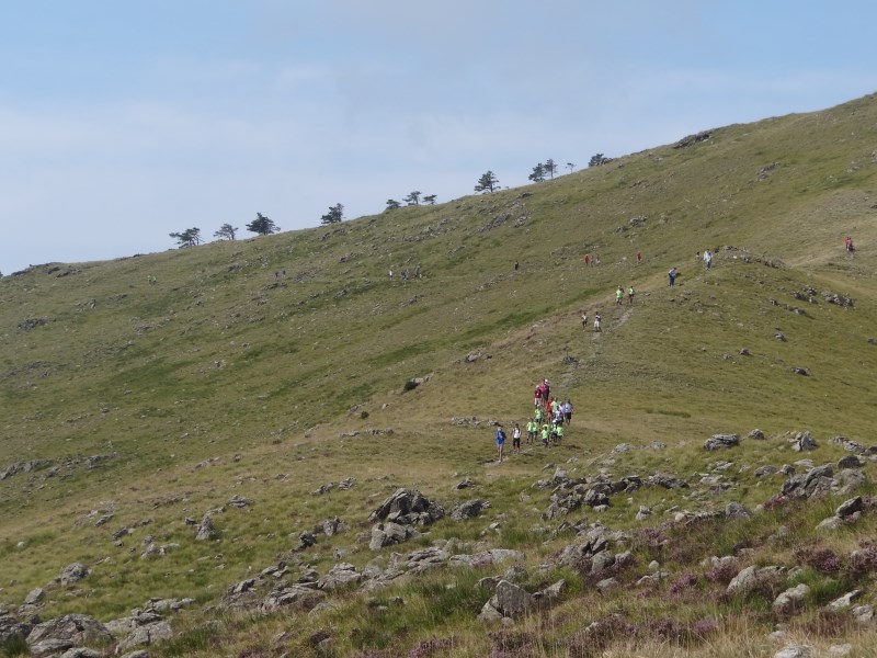 Croce Rossa Italiana - Comitato di Arenzano