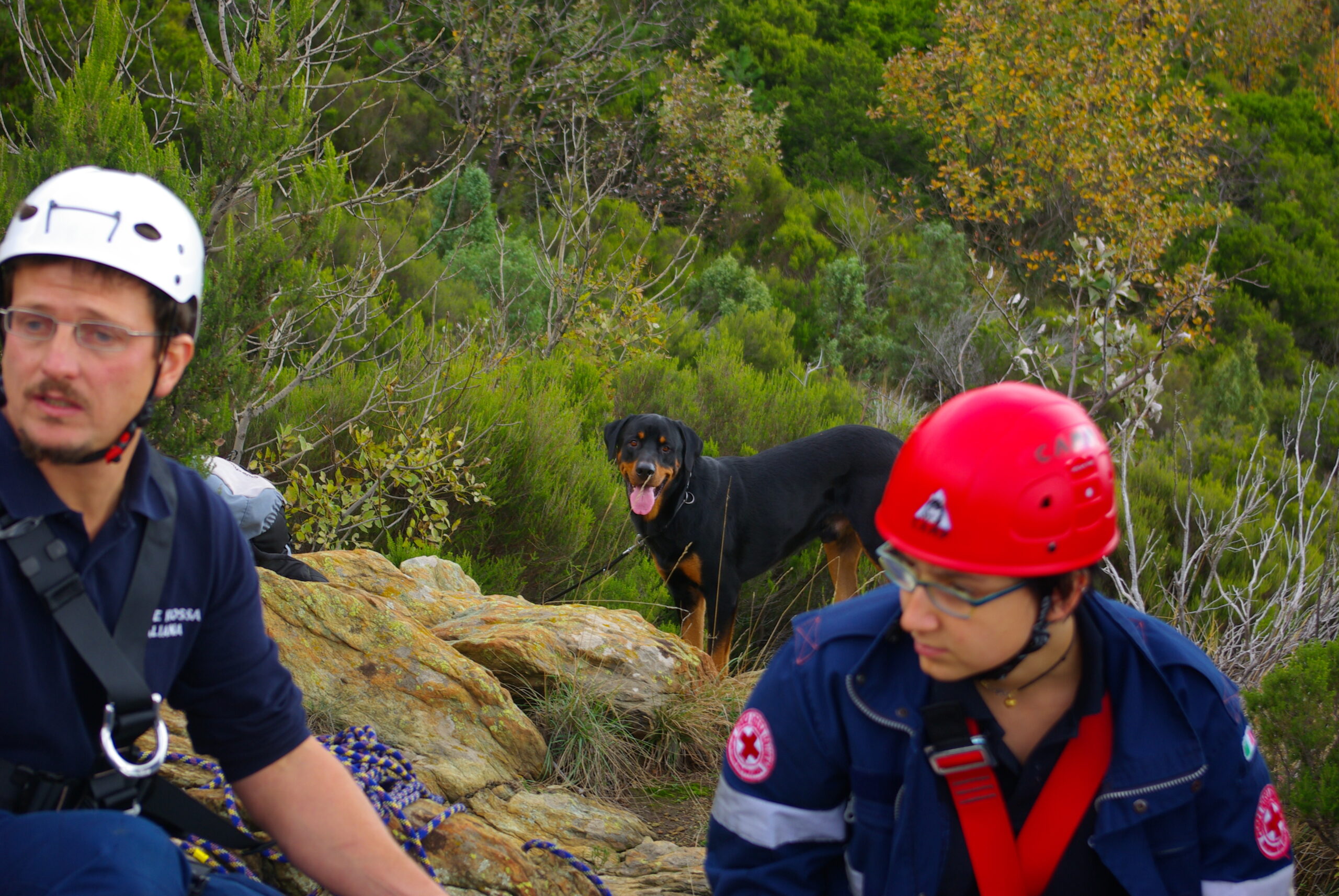 Croce Rossa Italiana - Comitato di Arenzano