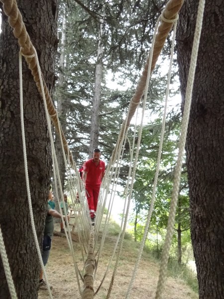 Croce Rossa Italiana - Comitato di Arenzano