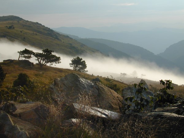 Croce Rossa Italiana - Comitato di Arenzano
