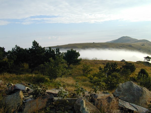 Croce Rossa Italiana - Comitato di Arenzano