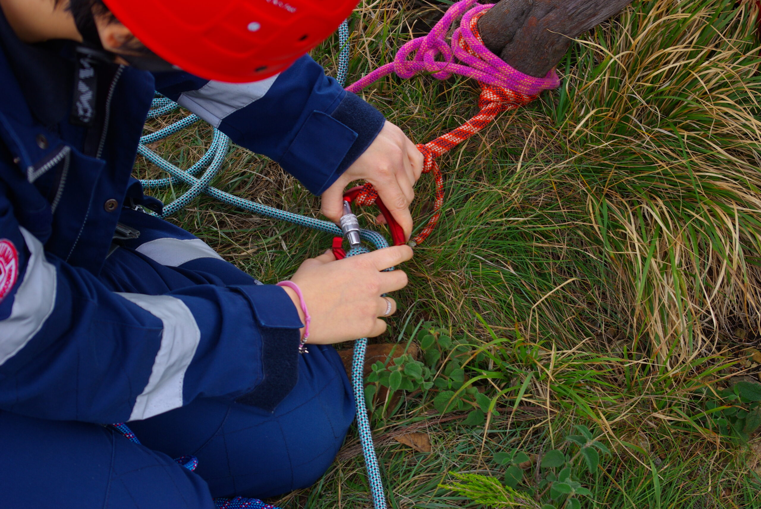 Croce Rossa Italiana - Comitato di Arenzano