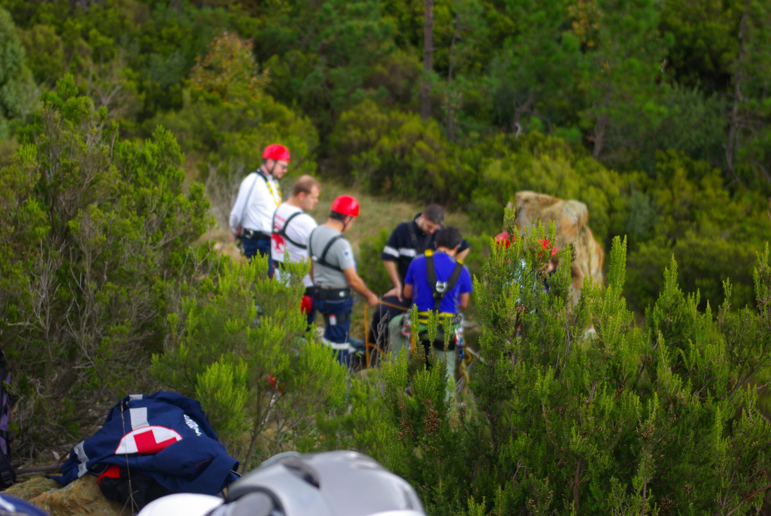 Croce Rossa Italiana - Comitato di Arenzano