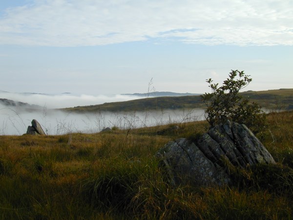 Croce Rossa Italiana - Comitato di Arenzano