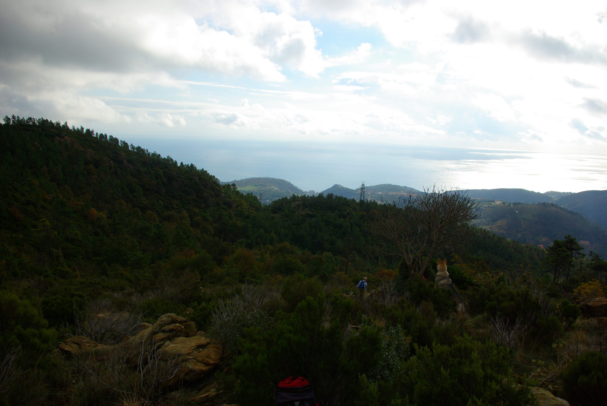 Croce Rossa Italiana - Comitato di Arenzano
