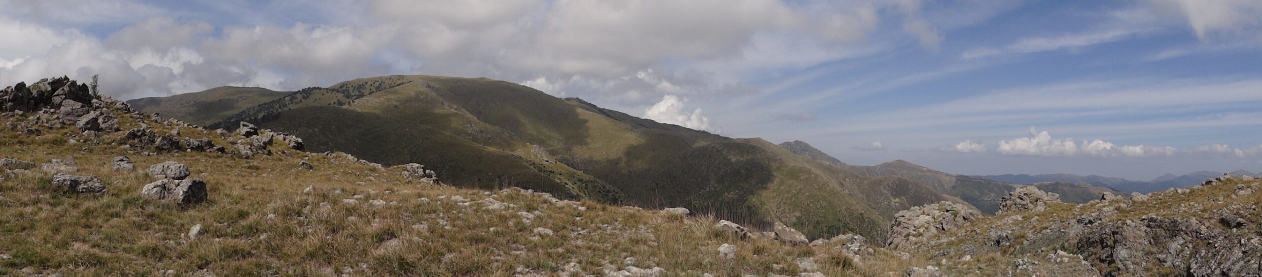 Croce Rossa Italiana - Comitato di Arenzano