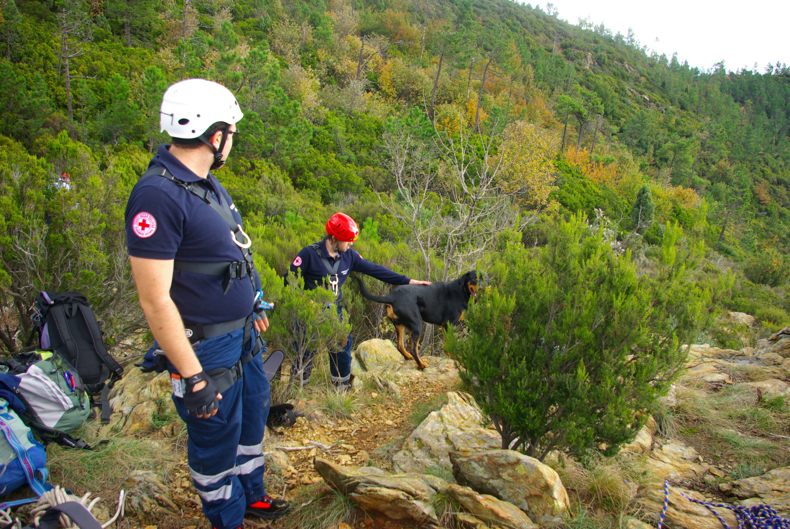 Croce Rossa Italiana - Comitato di Arenzano