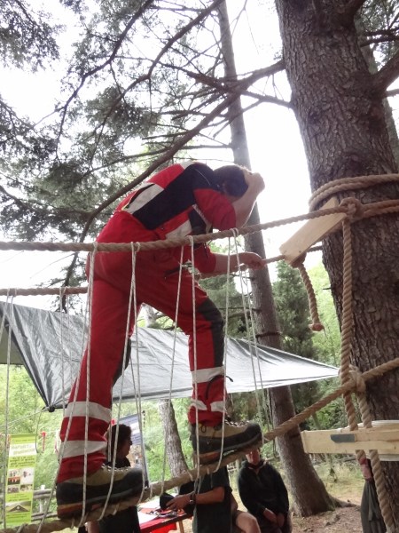 Croce Rossa Italiana - Comitato di Arenzano