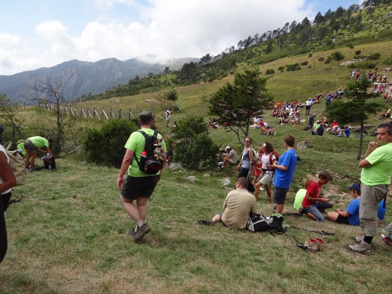Croce Rossa Italiana - Comitato di Arenzano