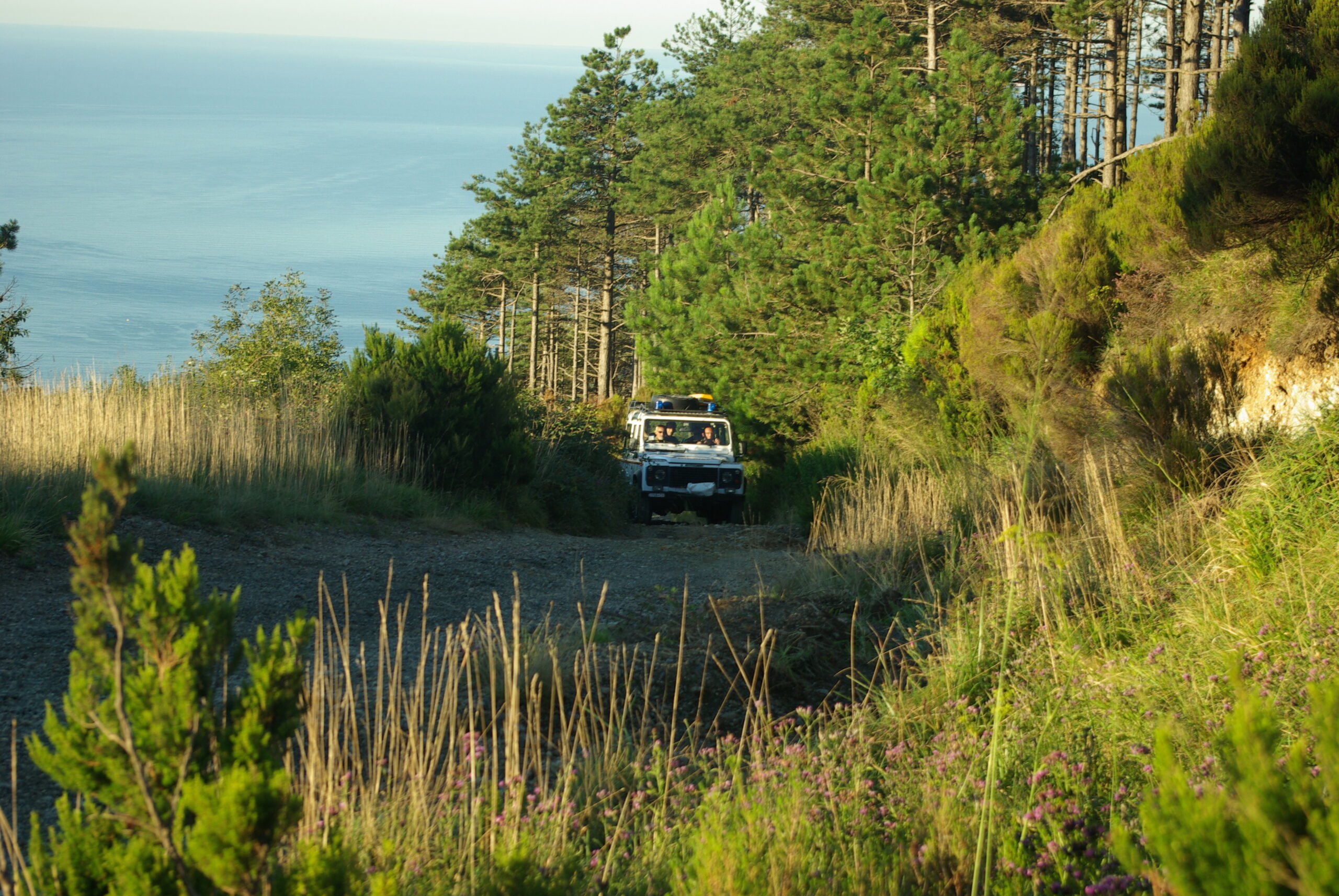 Croce Rossa Italiana - Comitato di Arenzano