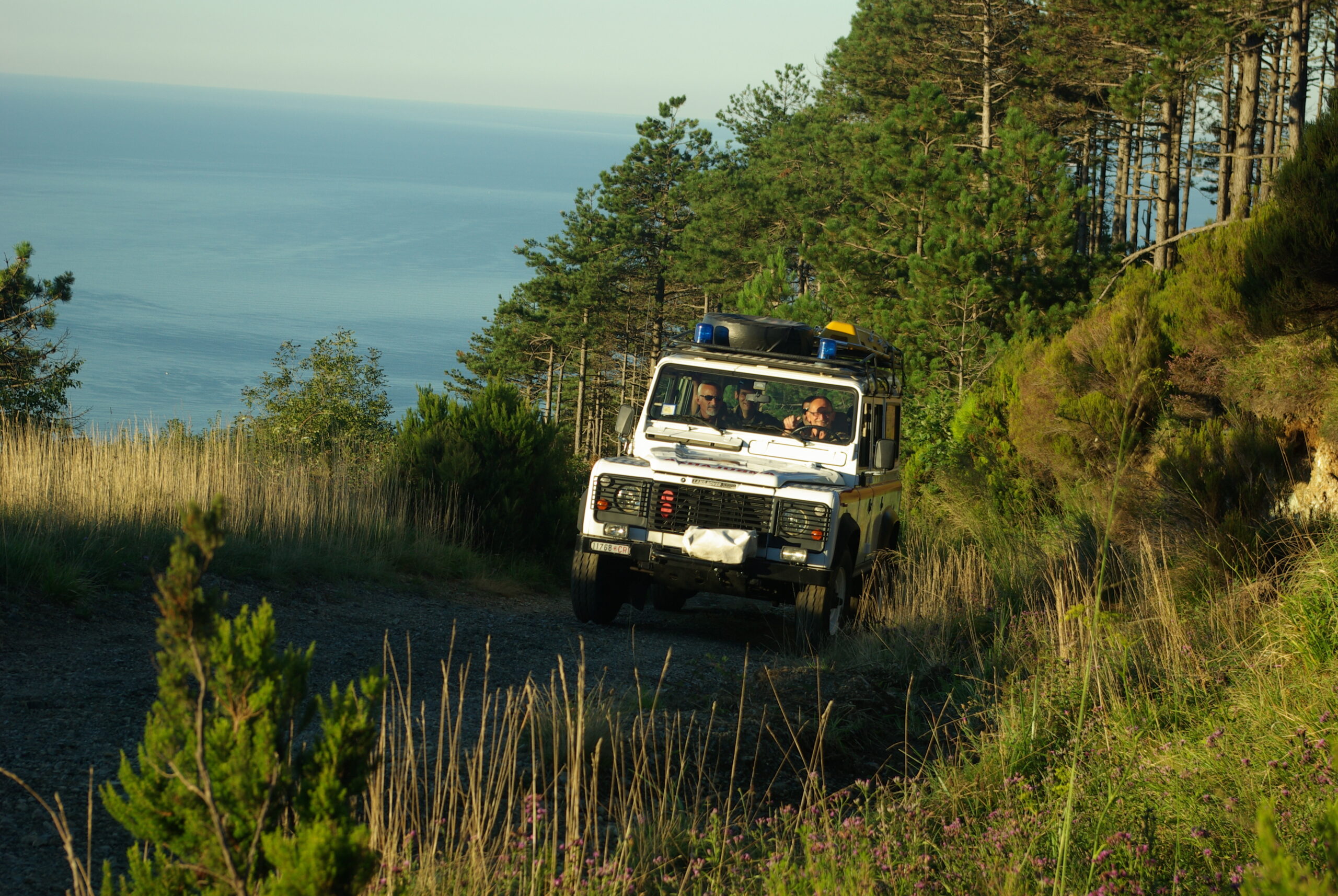 Croce Rossa Italiana - Comitato di Arenzano
