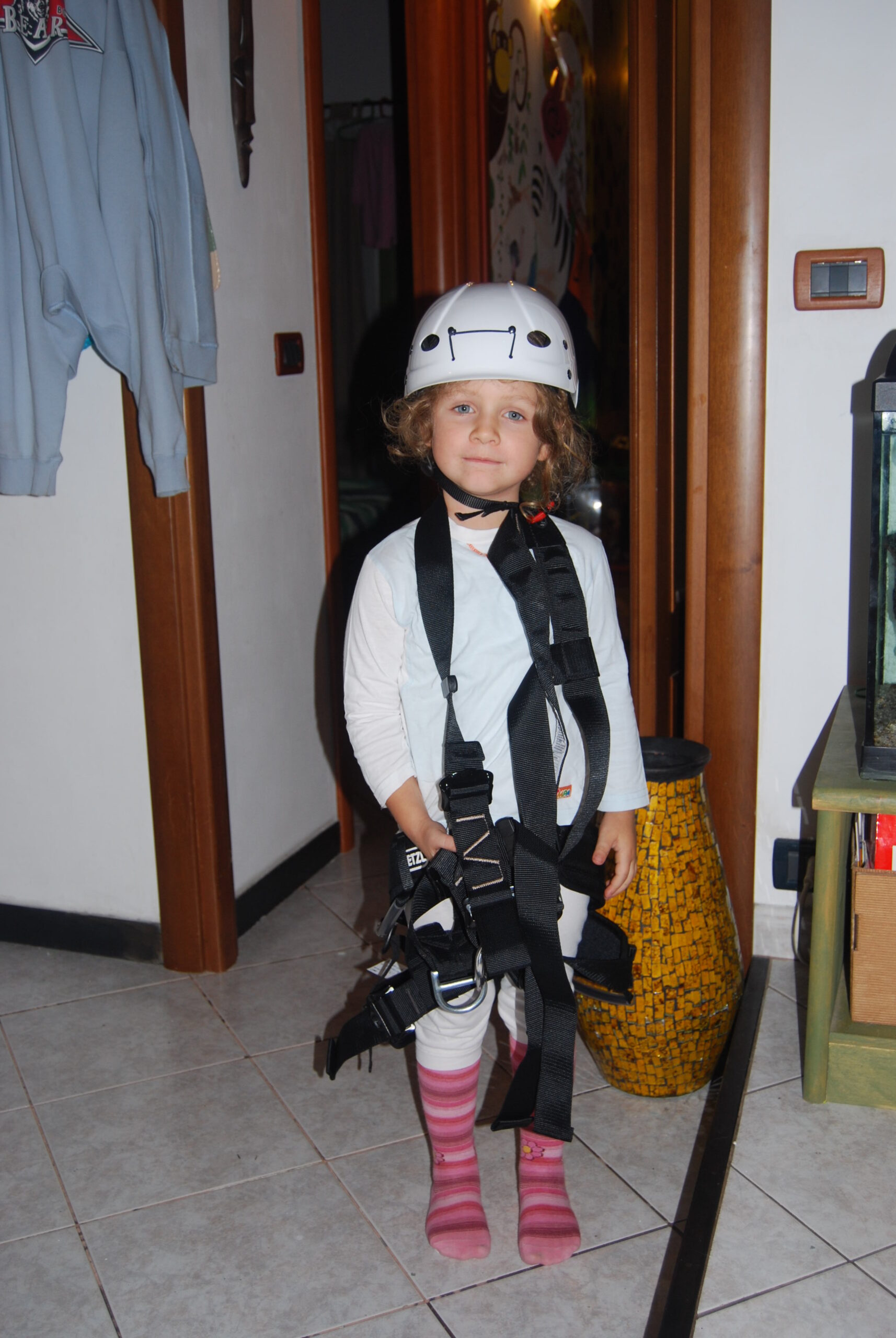 Croce Rossa Italiana - Comitato di Arenzano