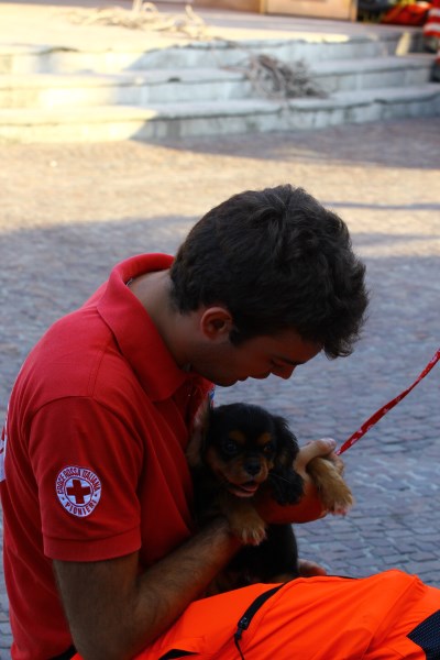 Croce Rossa Italiana - Comitato di Arenzano