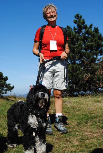 Croce Rossa Italiana - Comitato di Arenzano