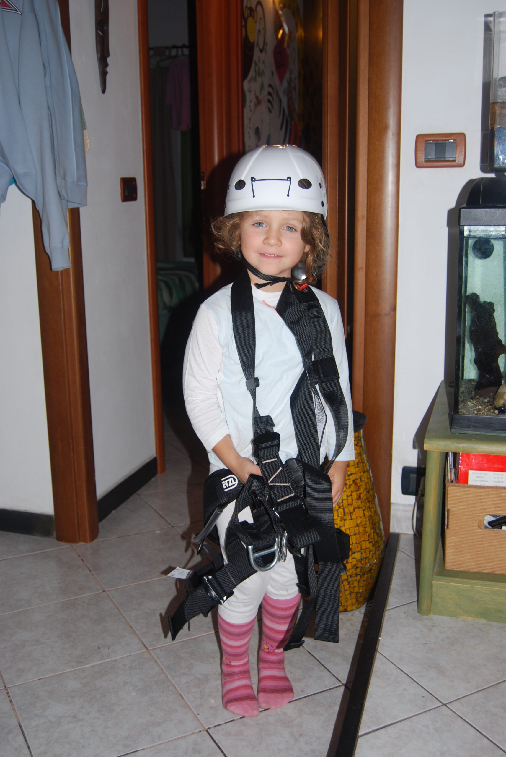 Croce Rossa Italiana - Comitato di Arenzano