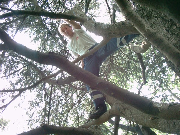 Croce Rossa Italiana - Comitato di Arenzano