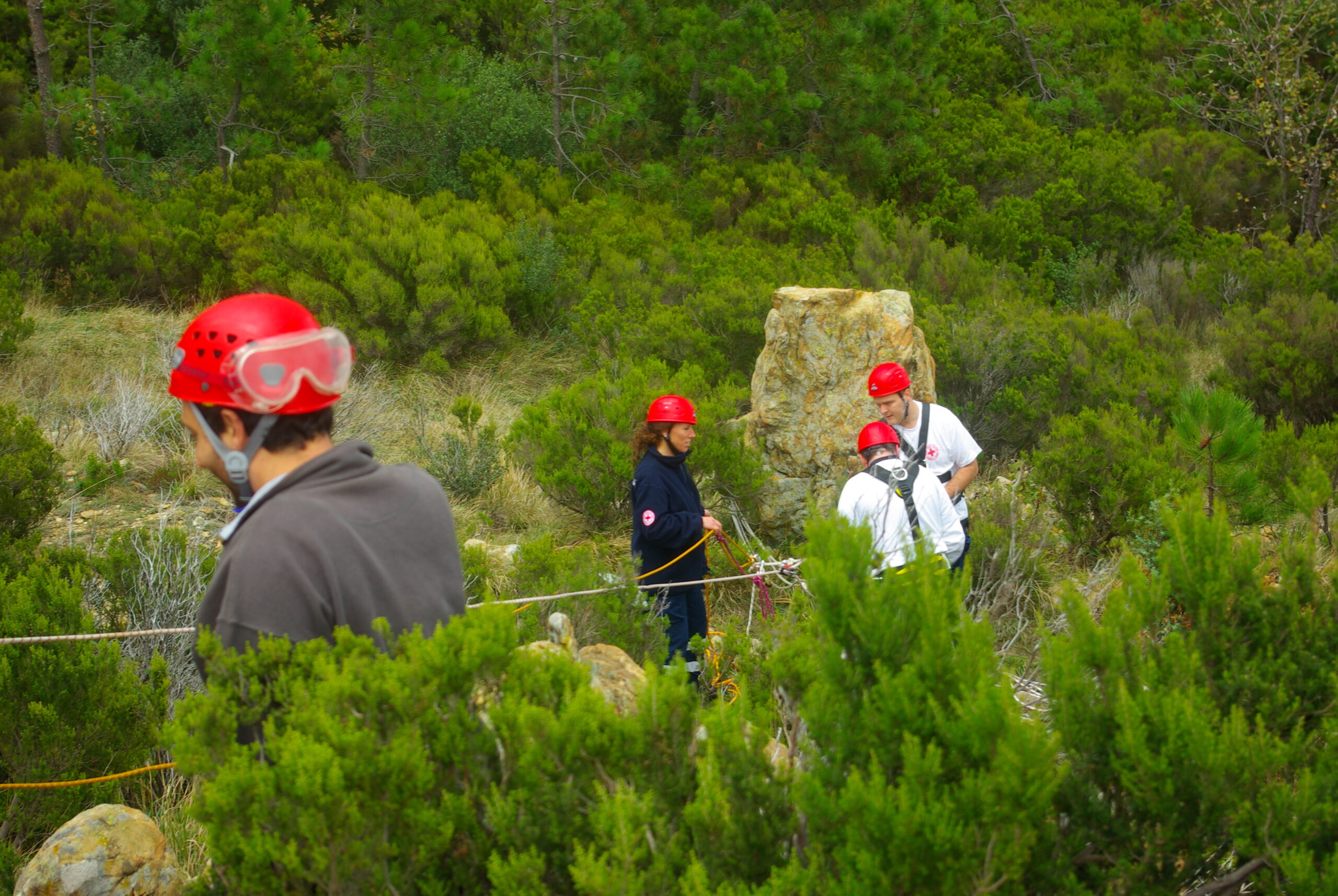 Croce Rossa Italiana - Comitato di Arenzano