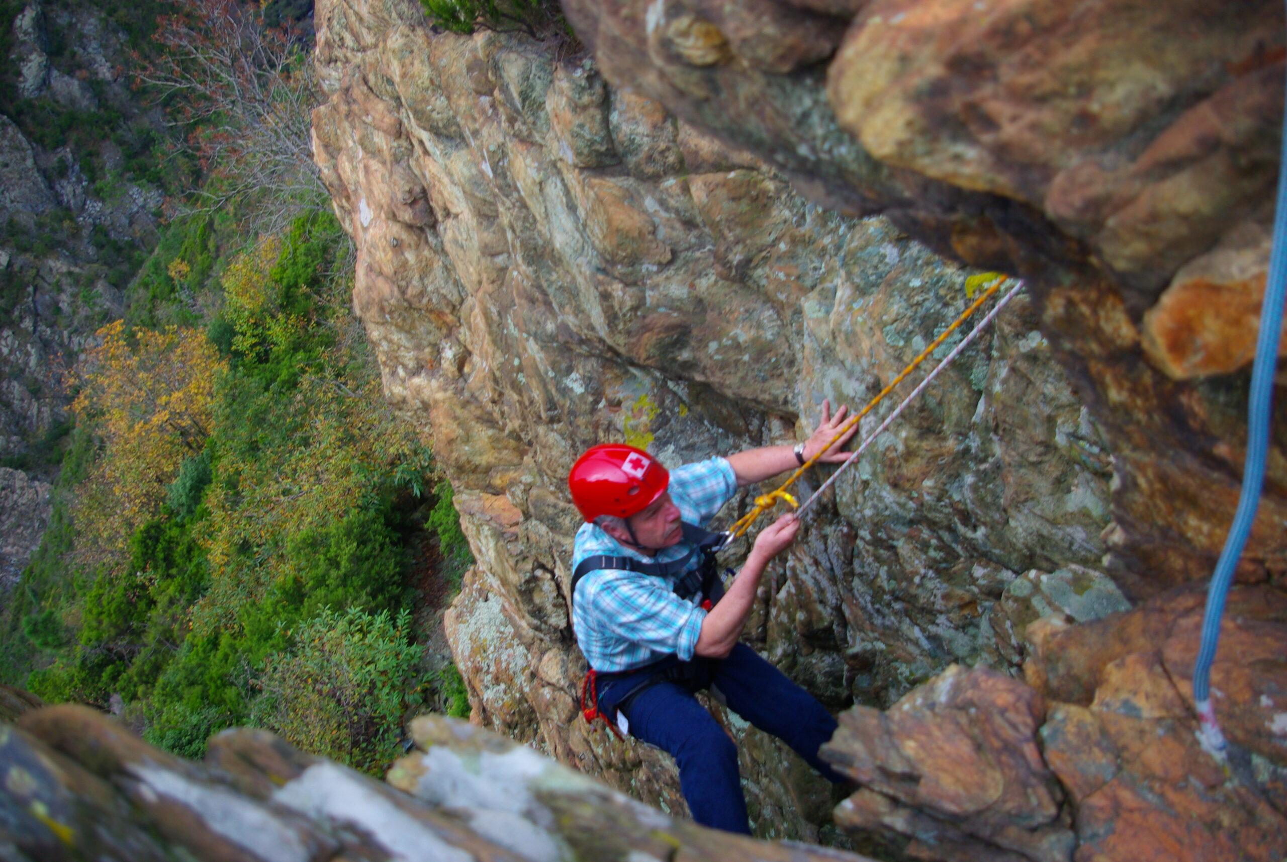 Croce Rossa Italiana - Comitato di Arenzano