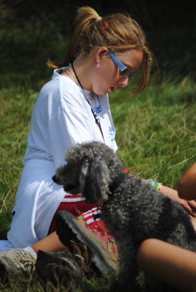 Croce Rossa Italiana - Comitato di Arenzano