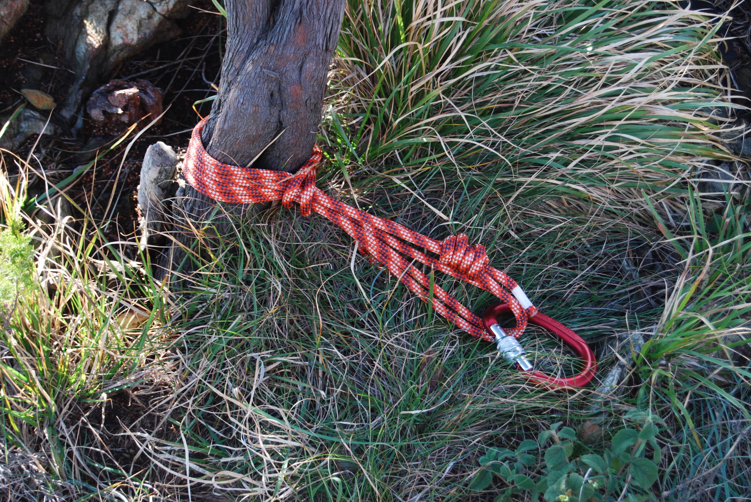 Croce Rossa Italiana - Comitato di Arenzano
