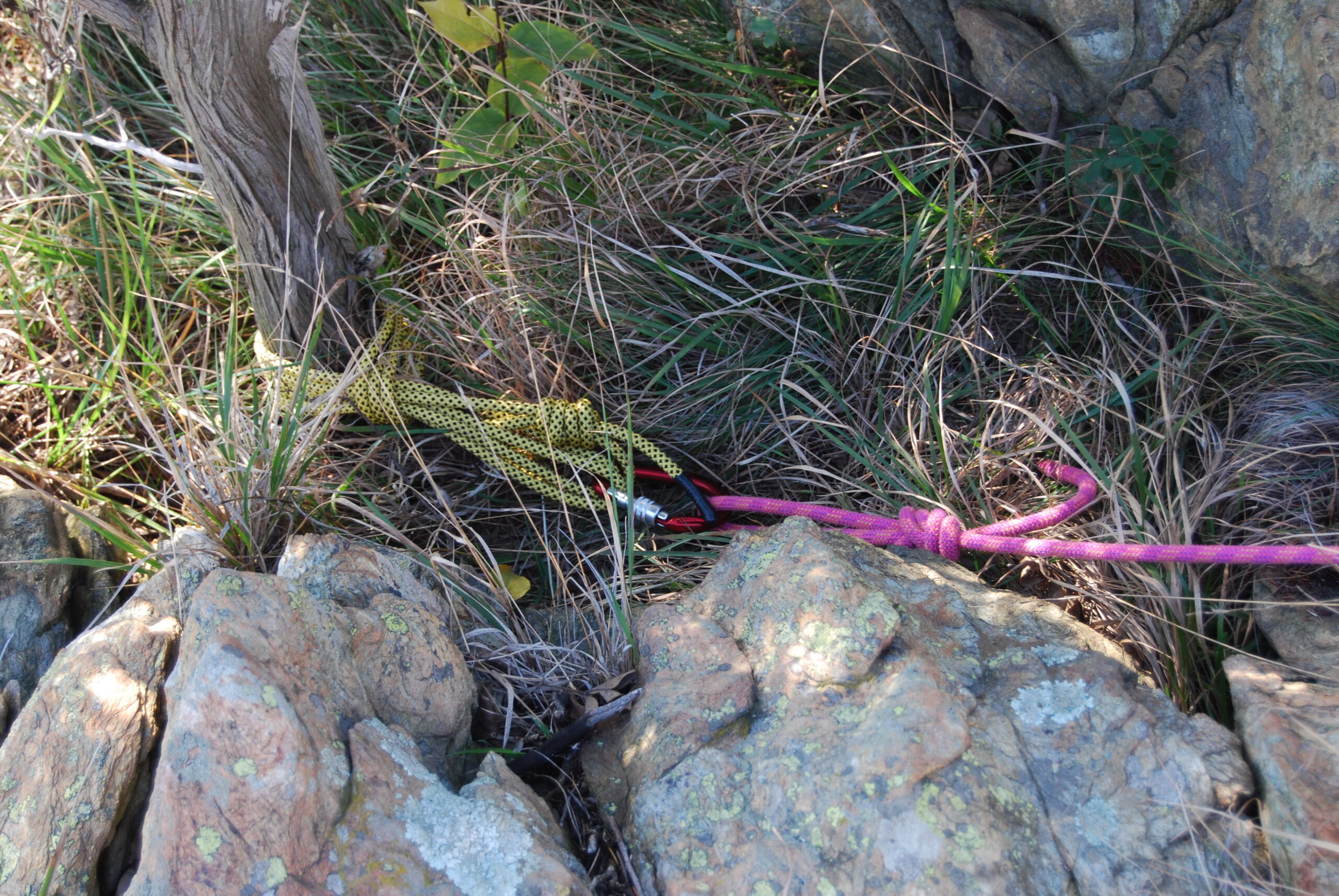 Croce Rossa Italiana - Comitato di Arenzano