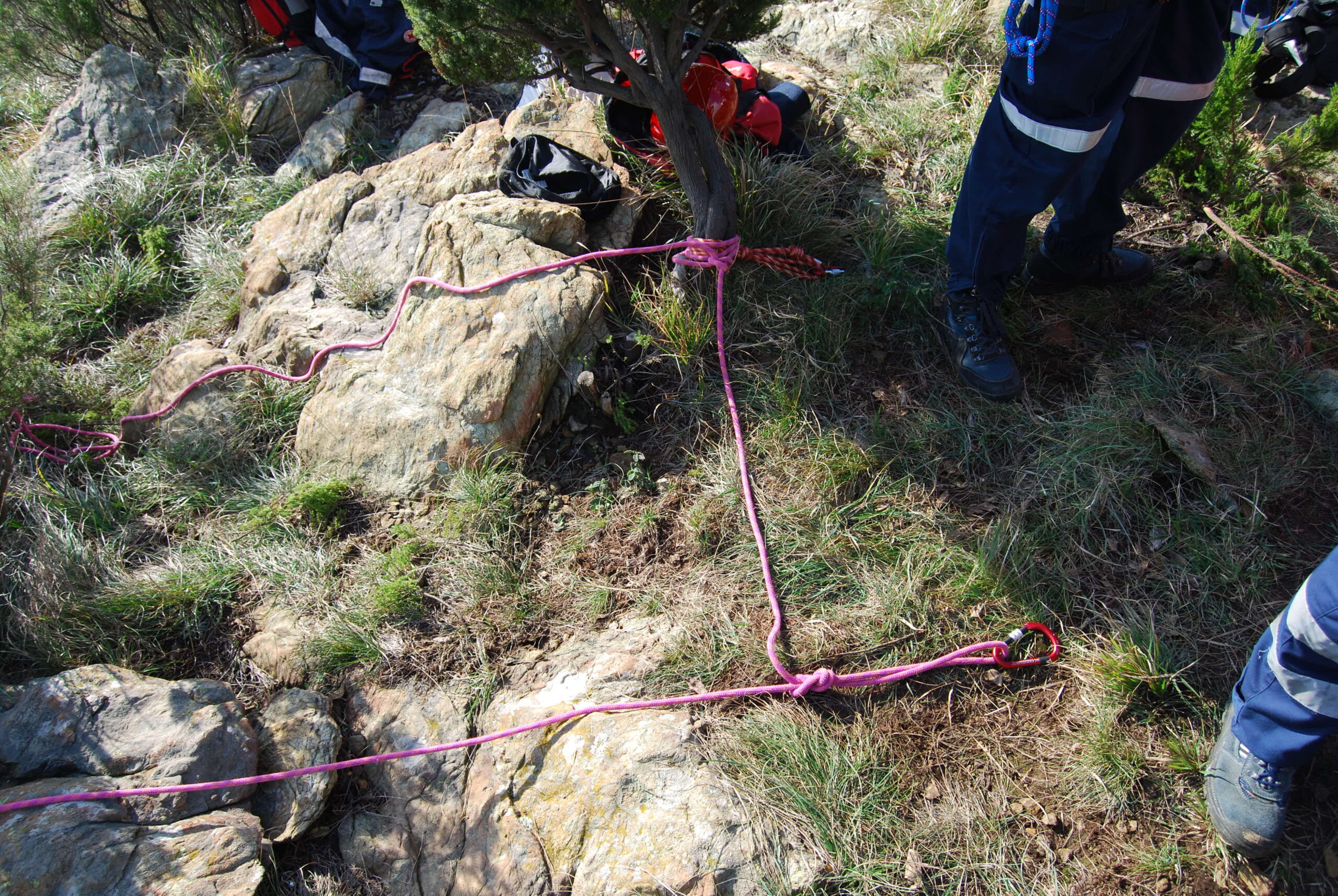 Croce Rossa Italiana - Comitato di Arenzano