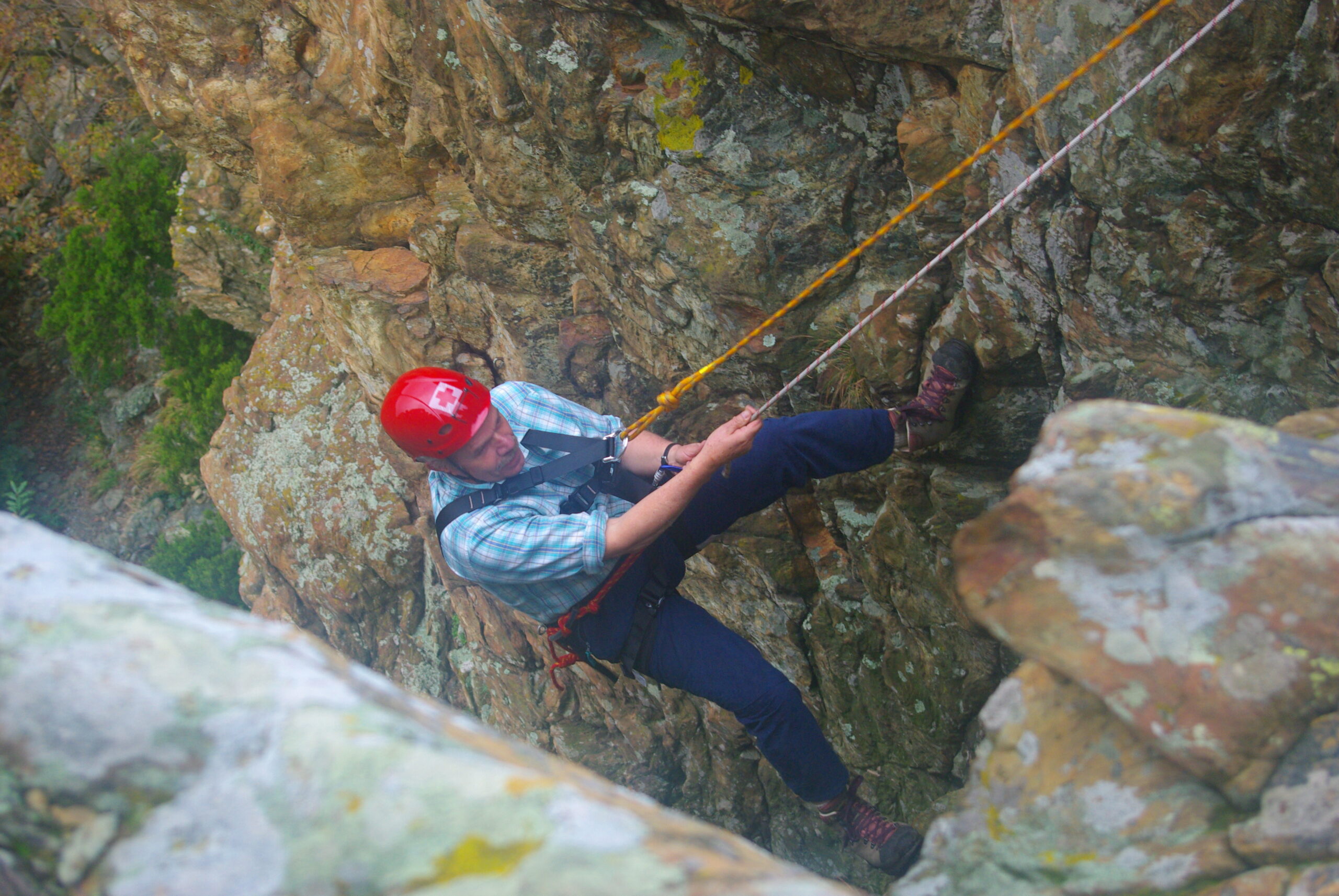 Croce Rossa Italiana - Comitato di Arenzano